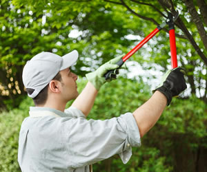 Garden Maintenance Medway Kent