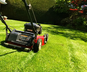 Grass Cutting Medway Kent